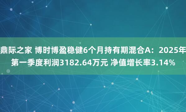 鼎际之家 博时博盈稳健6个月持有期混合A：2025年第一季度利润3182.64万元 净值增长率3.14%