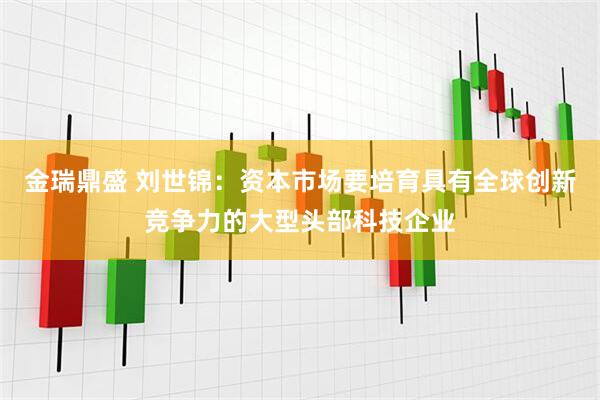 金瑞鼎盛 刘世锦：资本市场要培育具有全球创新竞争力的大型头部科技企业