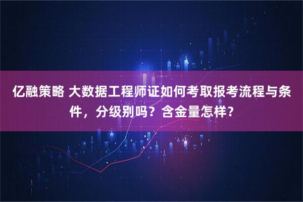 亿融策略 大数据工程师证如何考取报考流程与条件，分级别吗？含金量怎样？